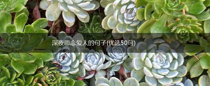 深夜思念爱人的句子(优选50句),第1张