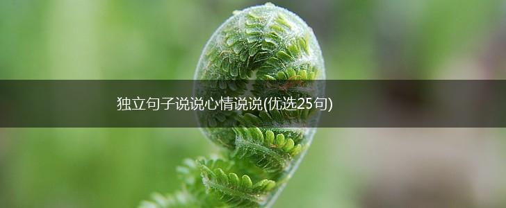 独立句子说说心情说说(优选25句),第1张