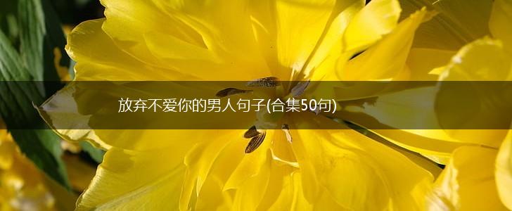 放弃不爱你的男人句子(合集50句),第1张