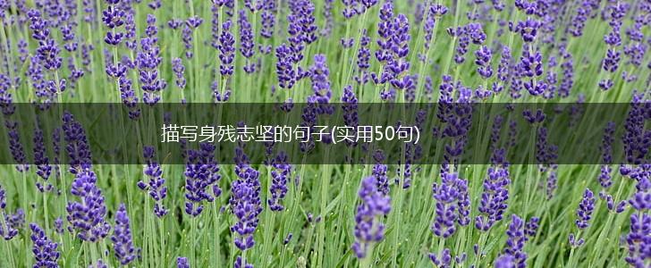 描写身残志坚的句子(实用50句),第1张