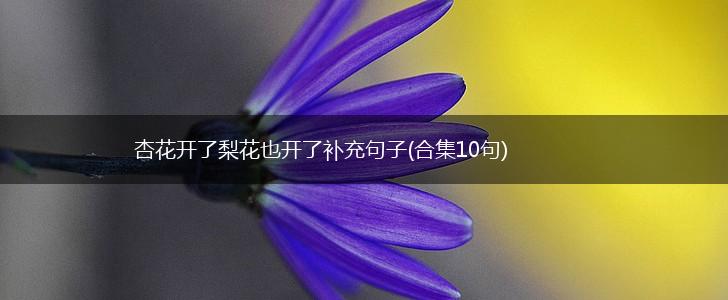 杏花开了梨花也开了补充句子(合集10句),第1张