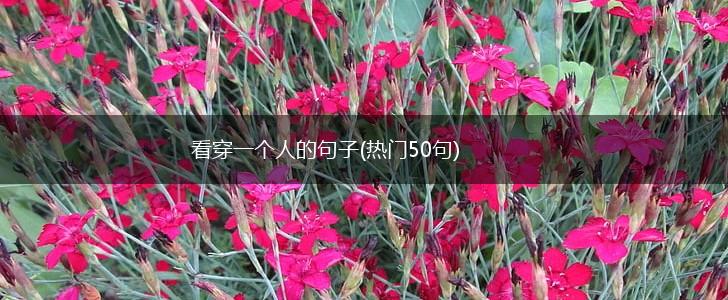 看穿一个人的句子(热门50句),第1张