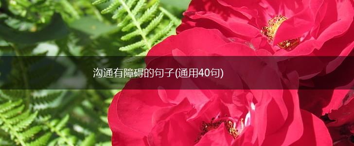 沟通有障碍的句子(通用40句),第1张