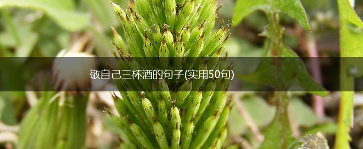 敬自己三杯酒的句子(实用50句),第1张