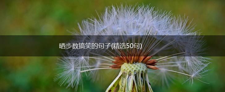 晒步数搞笑的句子(精选50句),第1张