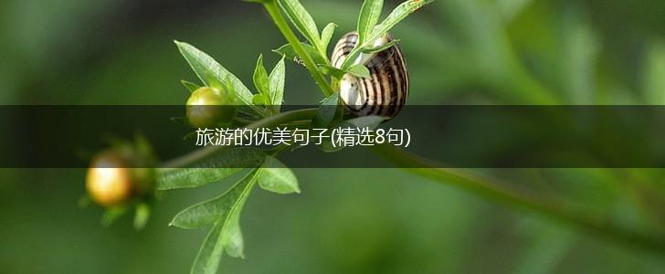 旅游的优美句子(精选8句),第1张