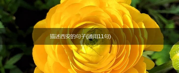 描述西安的句子(通用11句),第1张
