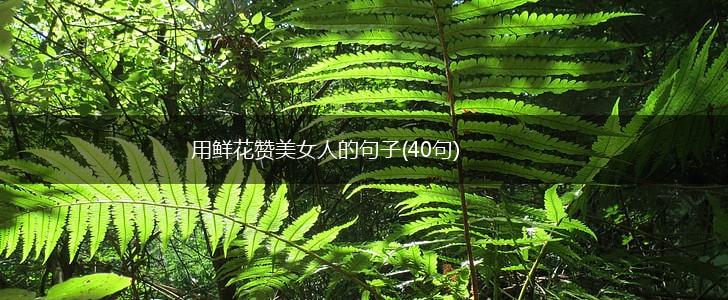 用鲜花赞美女人的句子(40句),第1张