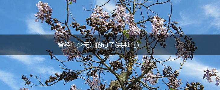曾经年少无知的句子(共41句),第1张
