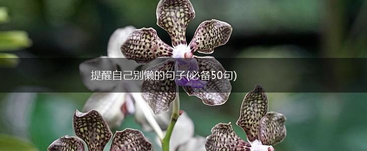 提醒自己别懒的句子(必备50句),第1张