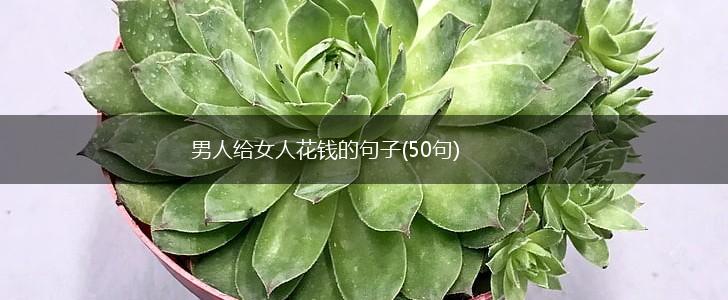 男人给女人花钱的句子(50句),第1张