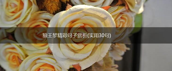 狼王梦精彩句子赏析(实用30句),第1张