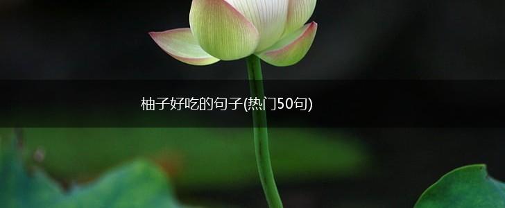 柚子好吃的句子(热门50句),第1张
