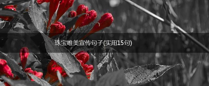 珠宝唯美宣传句子(实用15句),第1张