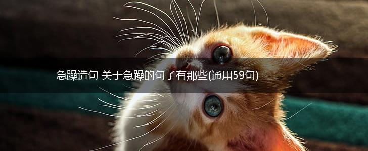 急躁造句 关于急躁的句子有那些(通用59句),第1张