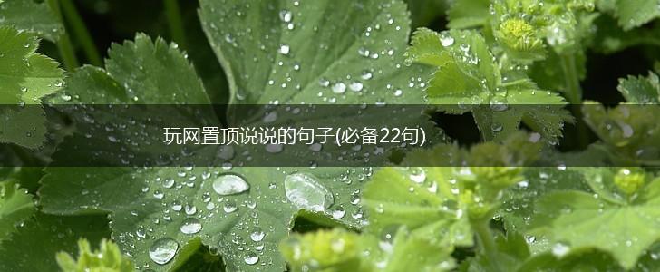 玩网置顶说说的句子(必备22句),第1张