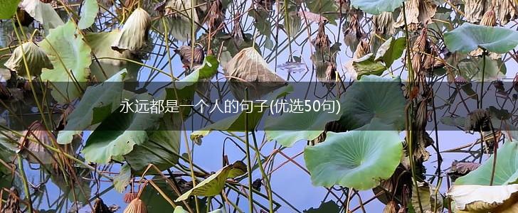 永远都是一个人的句子(优选50句),第1张