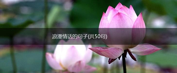浪漫情话的句子(共50句),第1张