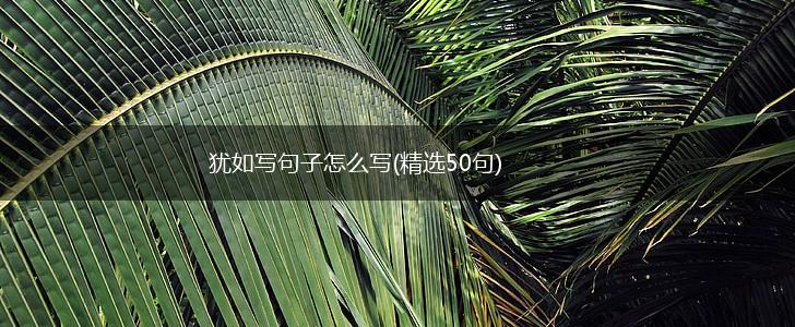 犹如写句子怎么写(精选50句),第1张