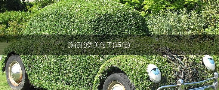 旅行的优美句子(15句),第1张