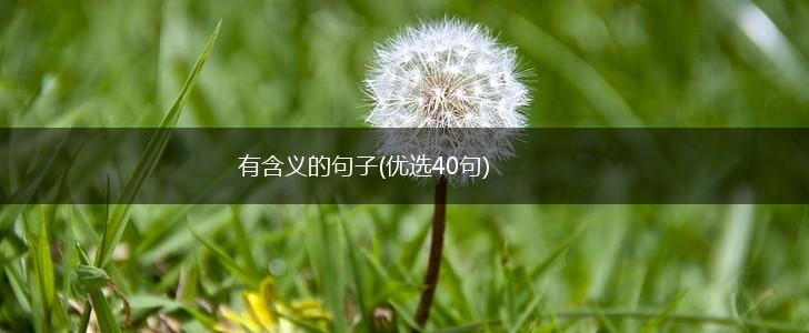 有含义的句子(优选40句),第1张