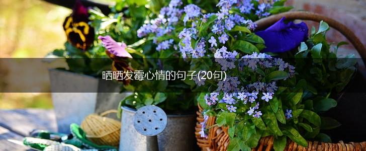 晒晒发霉心情的句子(20句),第1张