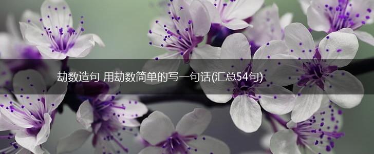 劫数造句 用劫数简单的写一句话(汇总54句),第1张