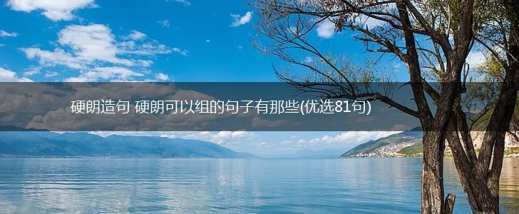 硬朗造句 硬朗可以组的句子有那些(优选81句),第1张
