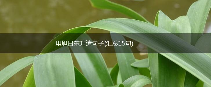 用旭日东升造句子(汇总15句),第1张