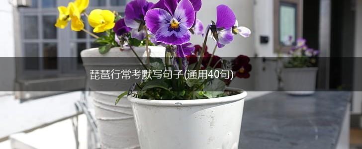 琵琶行常考默写句子(通用40句),第1张
