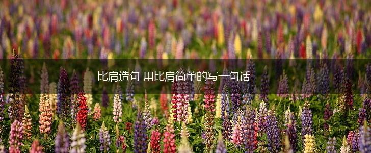 比肩造句 用比肩简单的写一句话,第1张