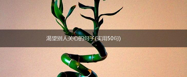 渴望别人关心的句子(实用50句),第1张