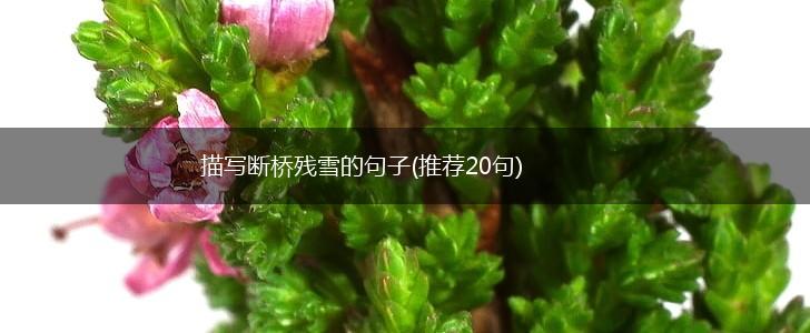 描写断桥残雪的句子(推荐20句),第1张