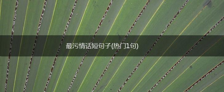 最污情话短句子(热门1句),第1张