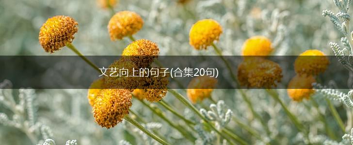 文艺向上的句子(合集20句),第1张
