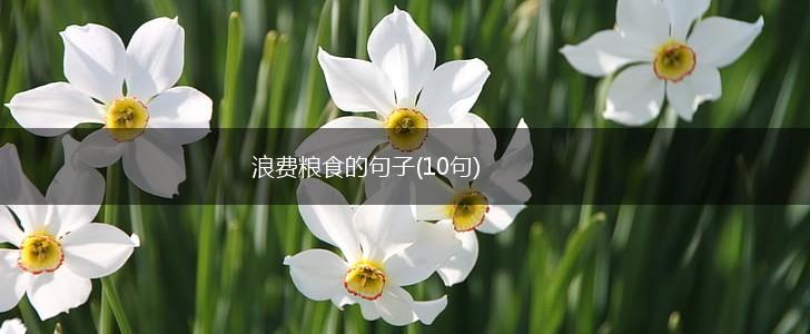 浪费粮食的句子(10句),第1张