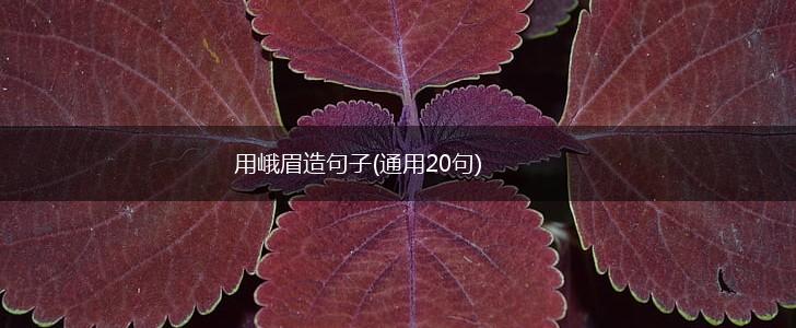 用峨眉造句子(通用20句),第1张