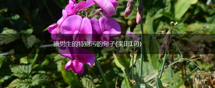 撩男生的特别污的句子(实用1句),第1张
