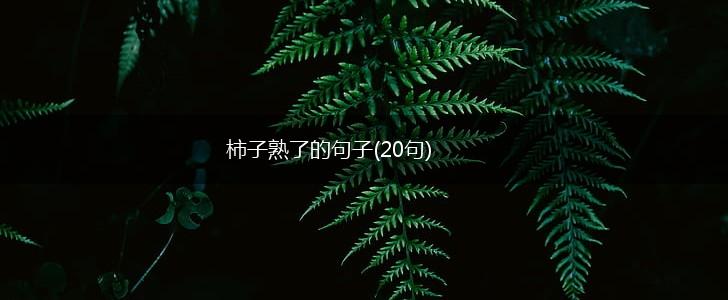 柿子熟了的句子(20句),第1张