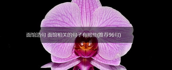 面馆造句 面馆相关的句子有那些(推荐96句),第1张