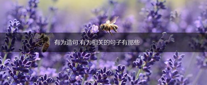 有为造句 有为相关的句子有那些,第1张