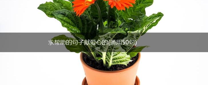 求帮助的句子献爱心的(通用50句),第1张