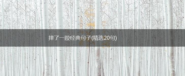 摔了一跤经典句子(精选20句),第1张