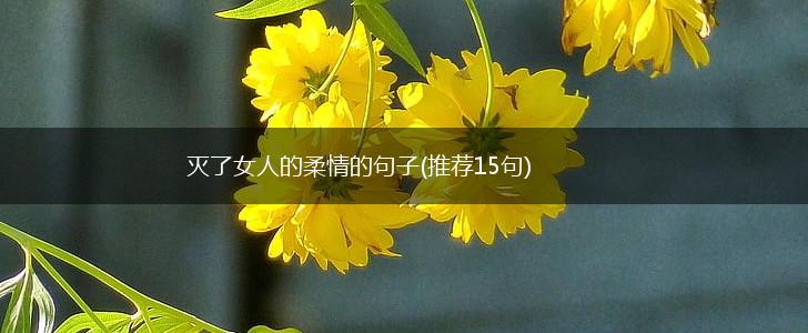 灭了女人的柔情的句子(推荐15句),第1张