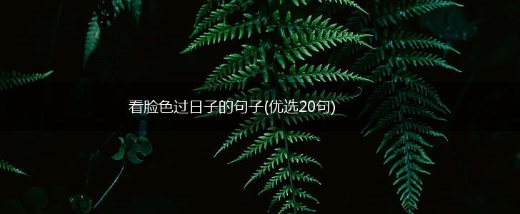 看脸色过日子的句子(优选20句),第1张
