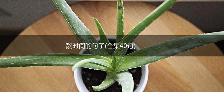 熬时间的句子(合集40句),第1张