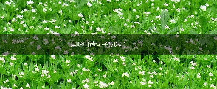 用吩咐造句子(50句),第1张