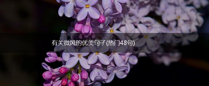 有关微风的优美句子(热门48句),第1张