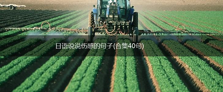 日语说说伤感的句子(合集40句),第1张