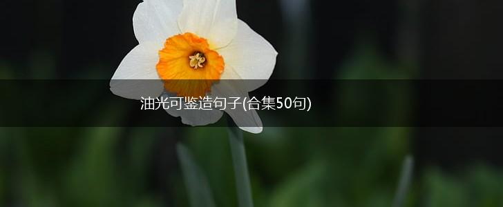 油光可鉴造句子(合集50句),第1张